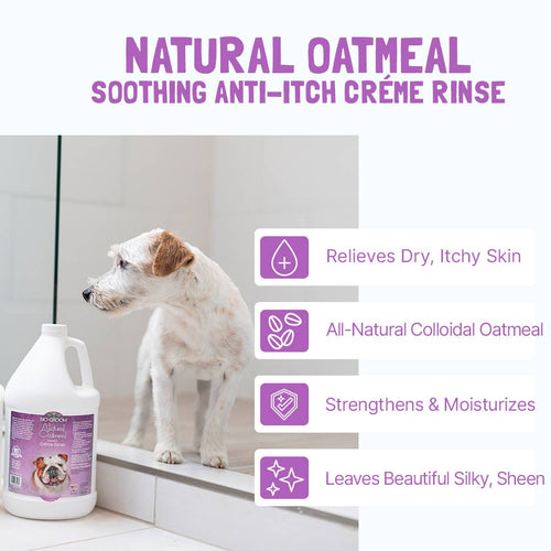 Bio-Groom Acondicionador Natural de Avena Galón
