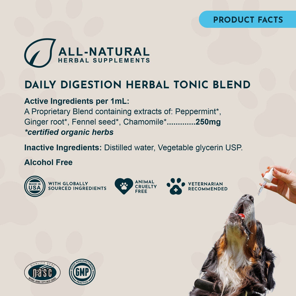 Mezcla Tónica Herbal para la Digestión Diaria | Malestar Gástrico y Aliento Fresco