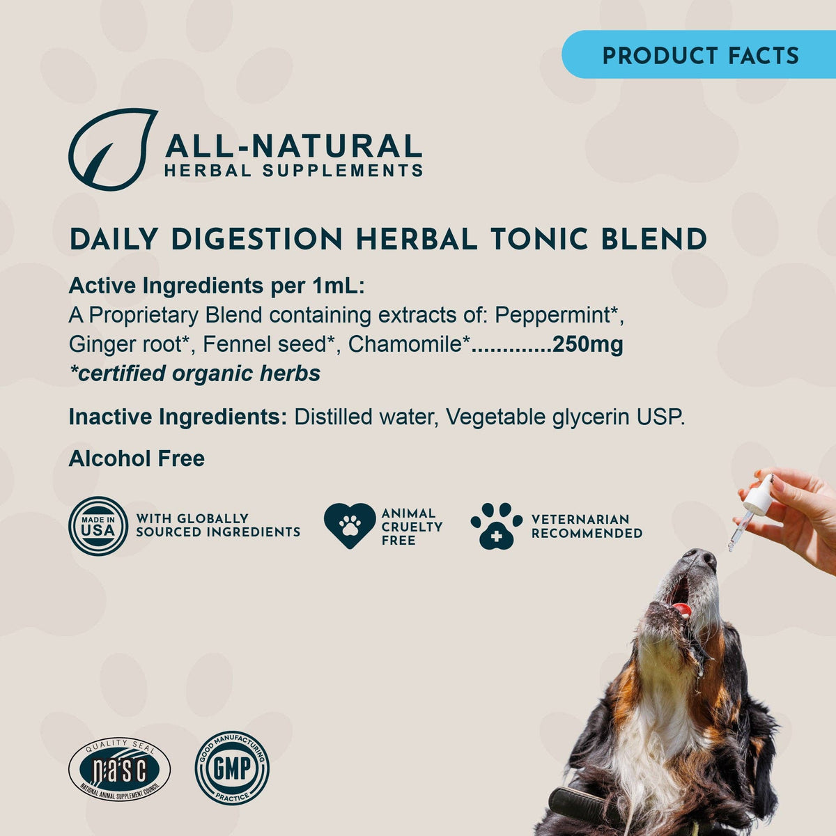 Mezcla Tónica Herbal para la Digestión Diaria | Malestar Gástrico y Aliento Fresco