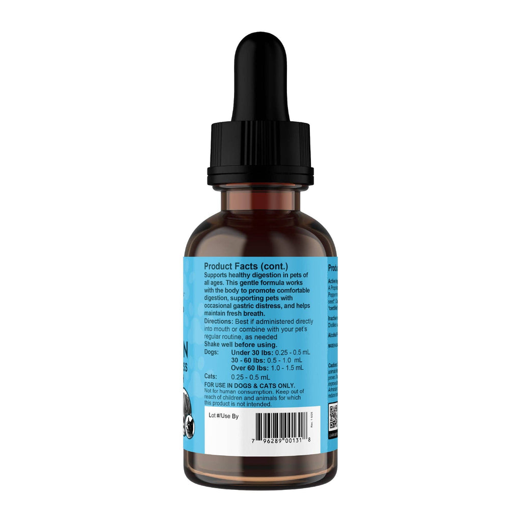 Mezcla Tónica Herbal para la Digestión Diaria | Malestar Gástrico y Aliento Fresco
