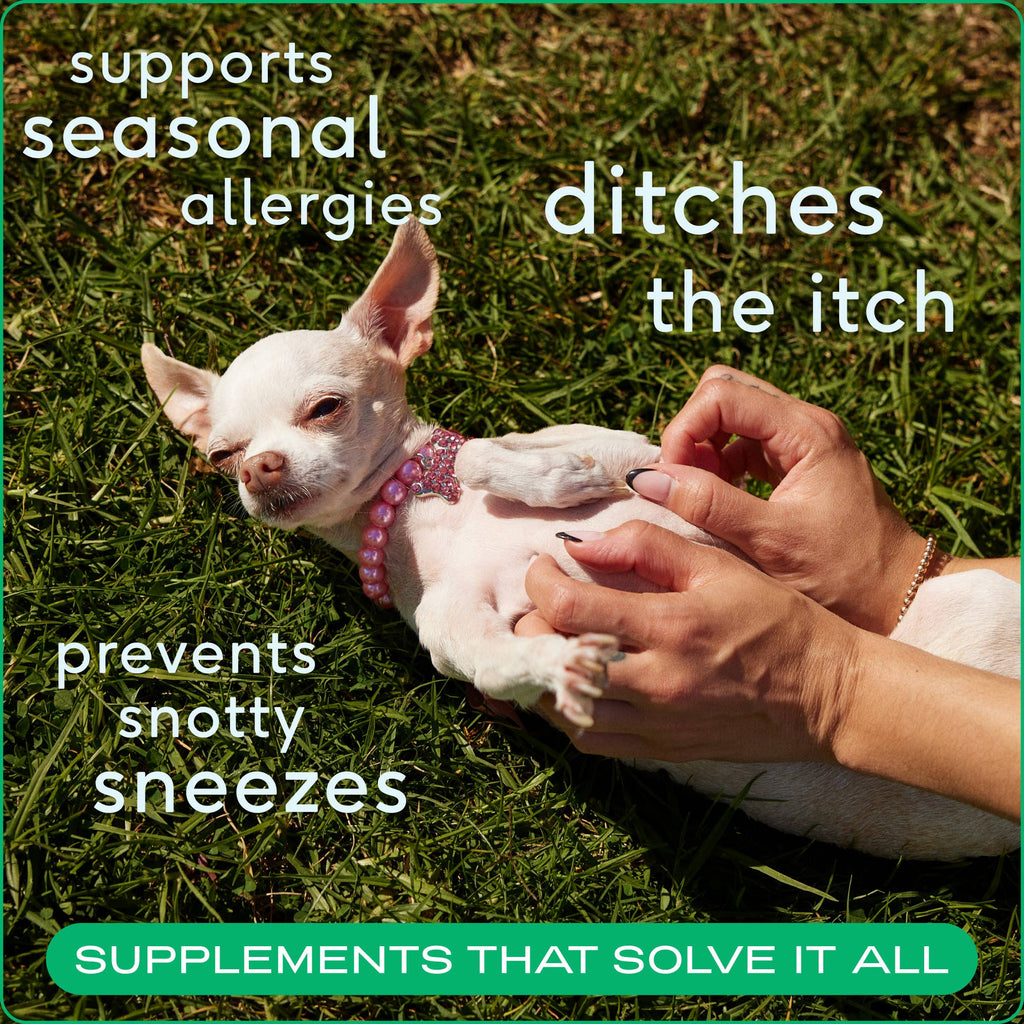 Allergy & Immune Chews, un suplemento para aliviar la alergia y la picazón